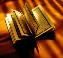 Read the Quran every day!